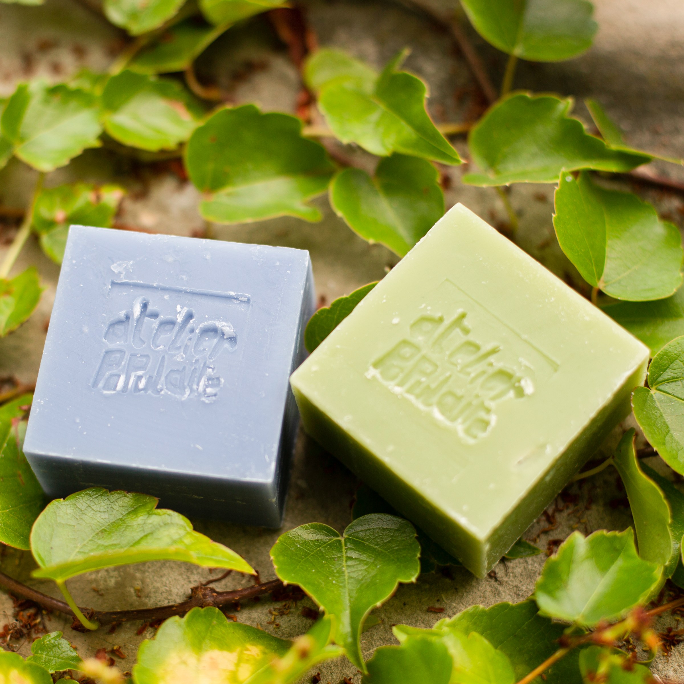 Deux pavés de savon, un bleu et un vert, posés sur un lit de lierre.